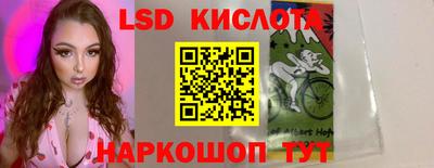 шишки Бузулук